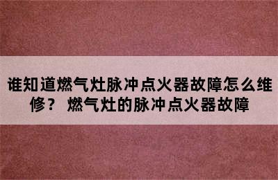 谁知道燃气灶脉冲点火器故障怎么维修？ 燃气灶的脉冲点火器故障